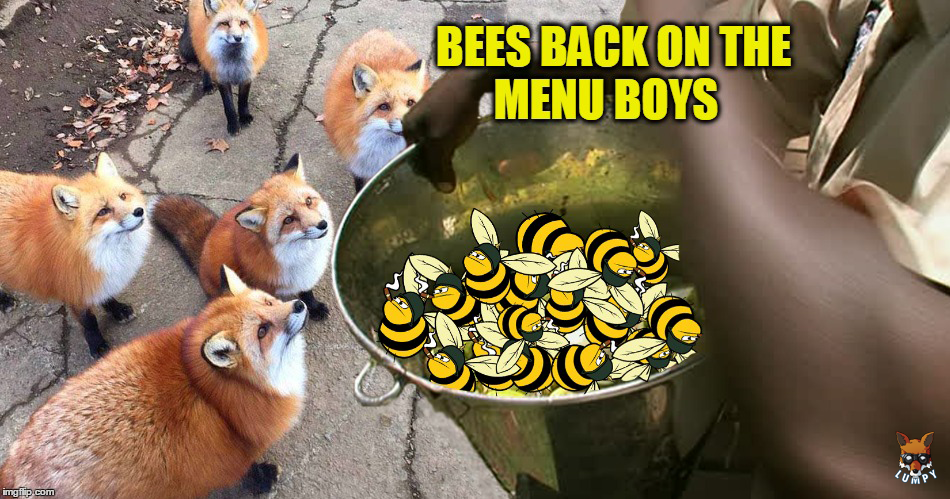 Bees are back on the menu boys